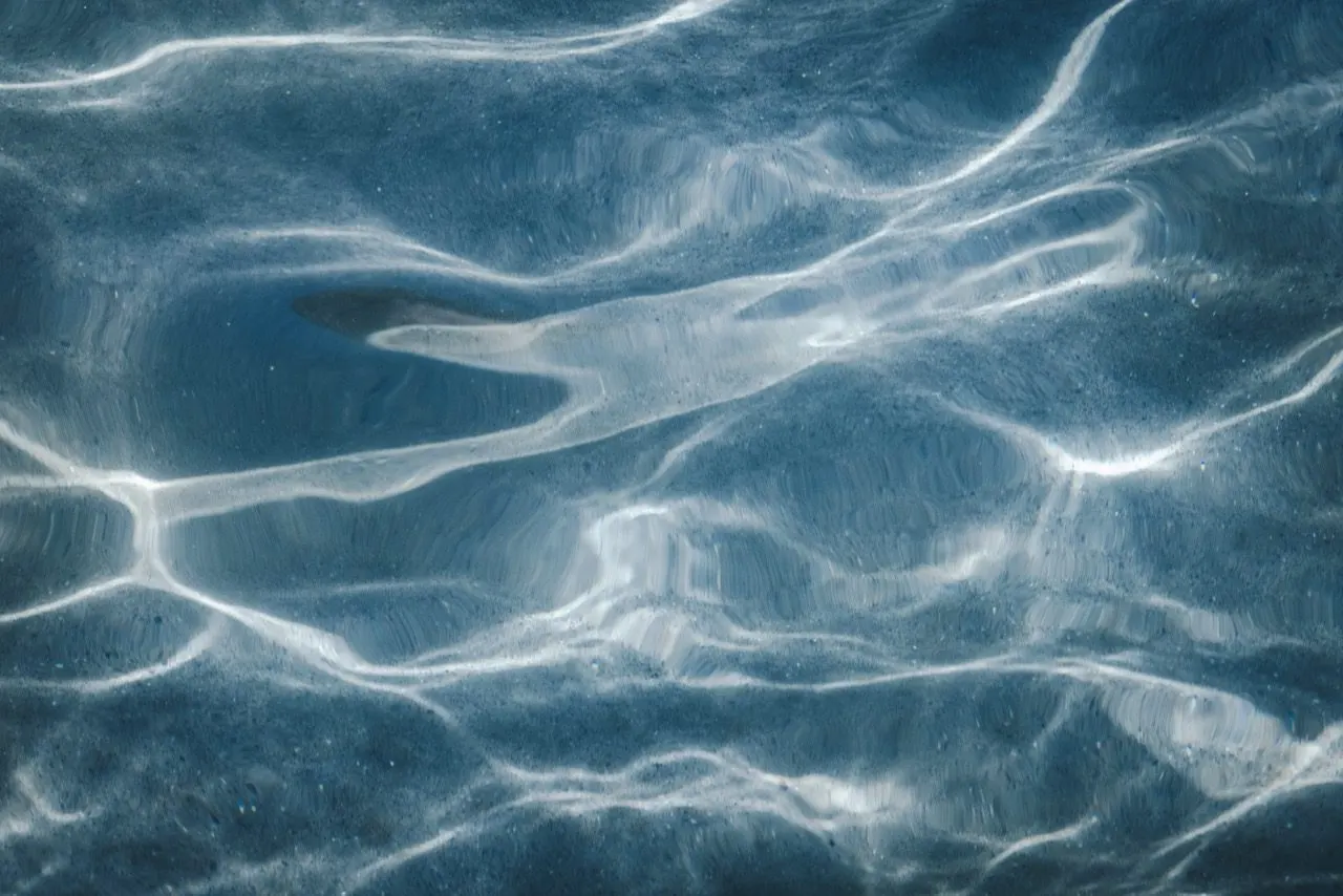 Sunlight rippling through the water of a hot spring