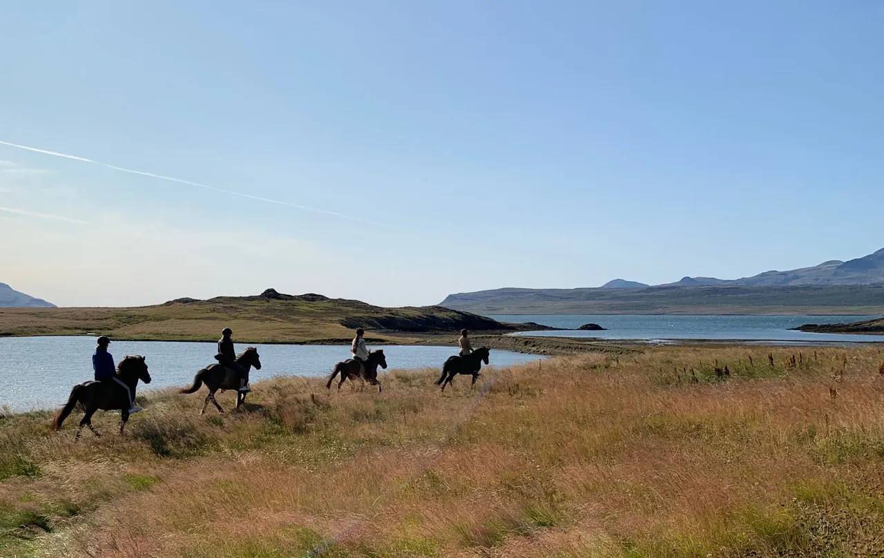 Útreiðartúr meðfram firðinum