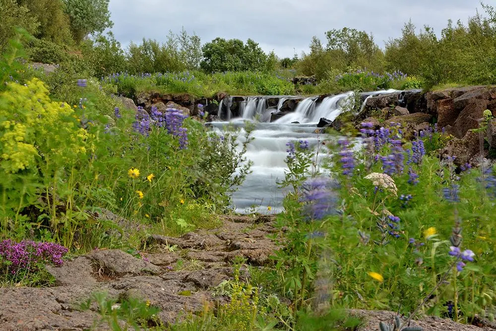 The Most Beautiful Places Near Reykjavík That Visitors Overlook