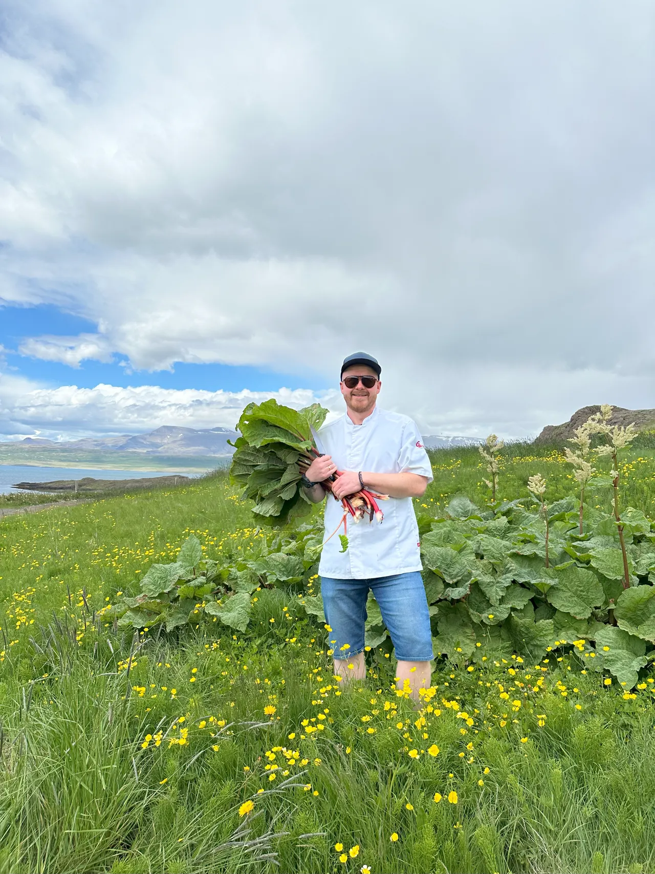 nordic cuisine Iceland restaurants