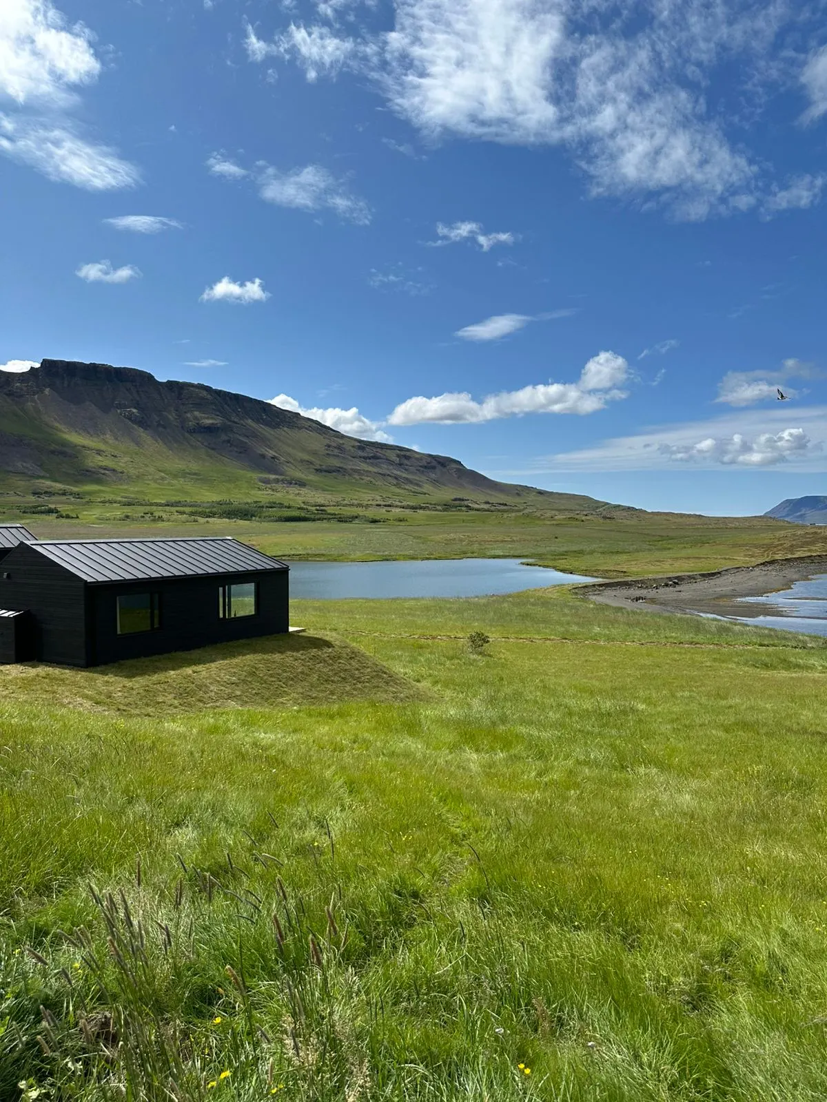 湖边绿地上的艺术家小屋